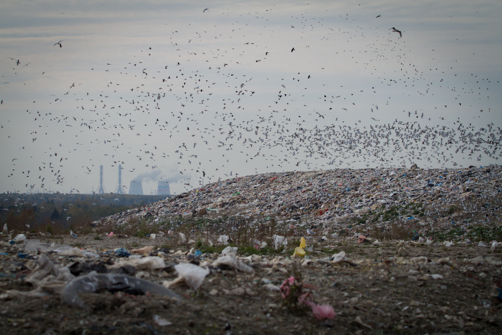 My experience. International Photographer