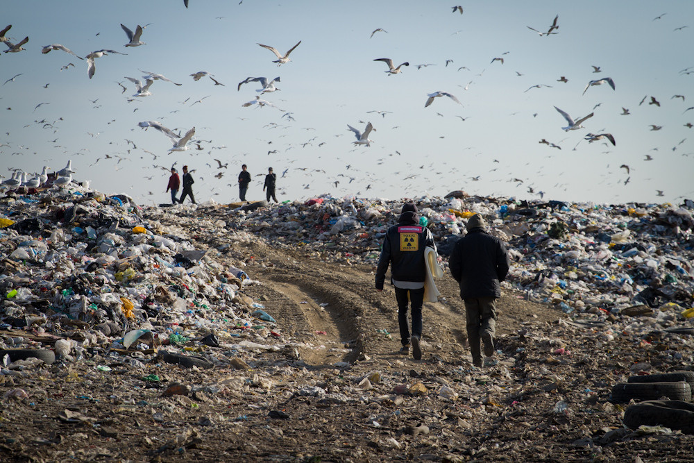 My experience. International Photographer