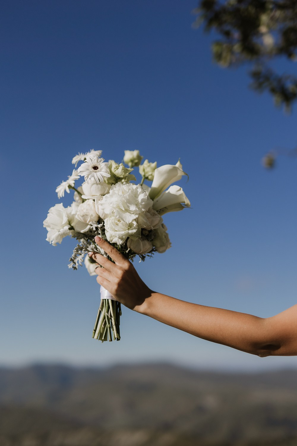 Alena & Artem Tbilisi. Familien & Hochzeitfotografin Nadja Holzmann