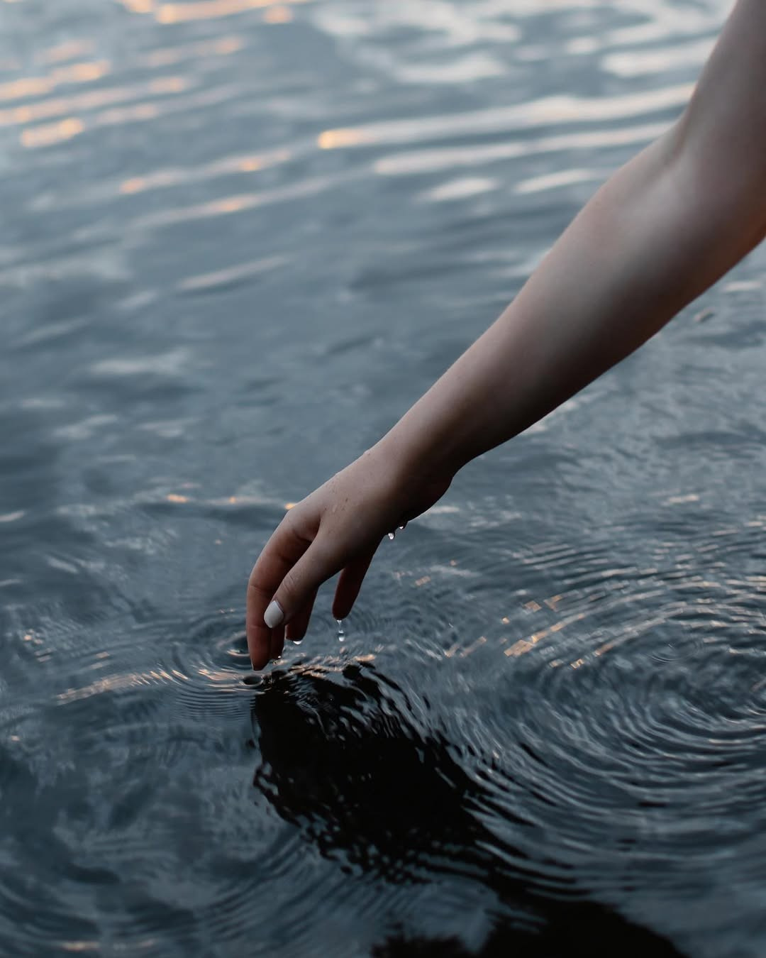 Portfolio. Portraits and couples Photographer Kseniia Elfimova, based in Orange County, CA