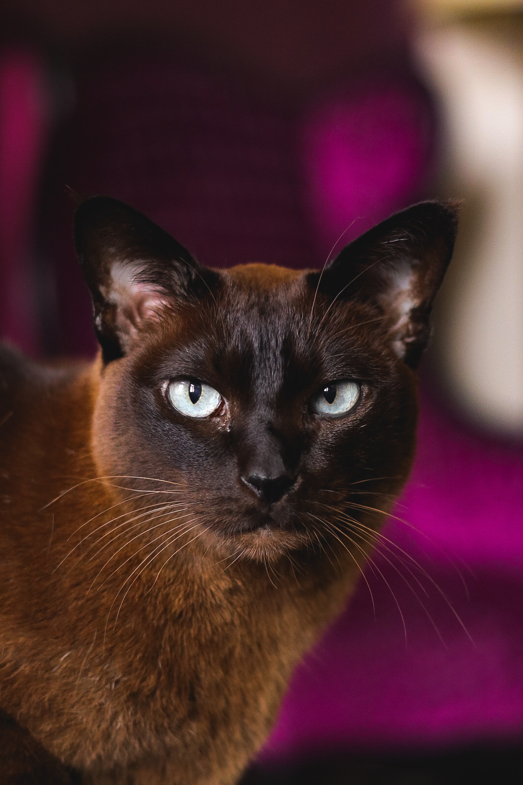 Животные. Марина фотограф из Нюрнберга