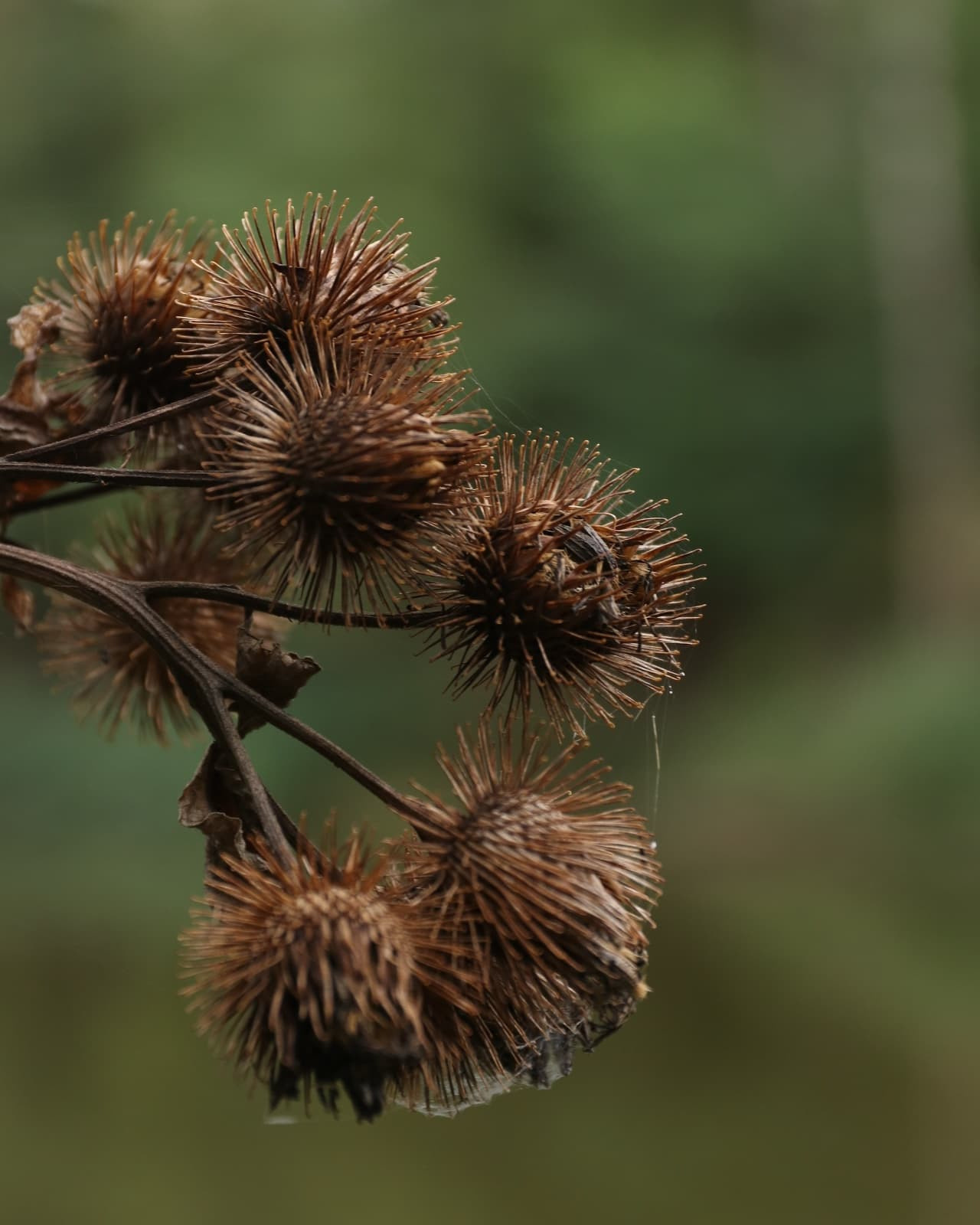Natur und Stadt. Marina, Fotograf aus Nürnberg