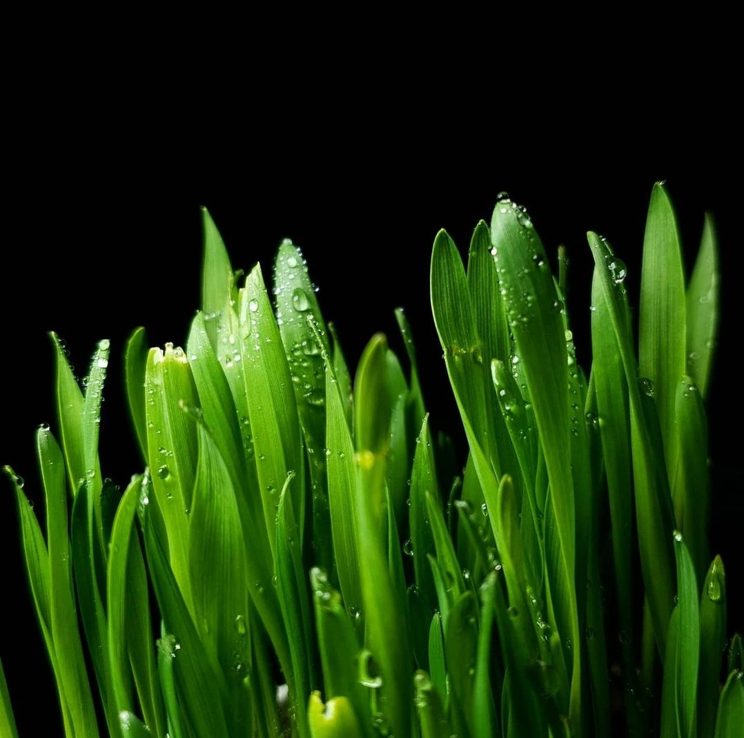 Low key. Photographer Marina, city of Nuremberg