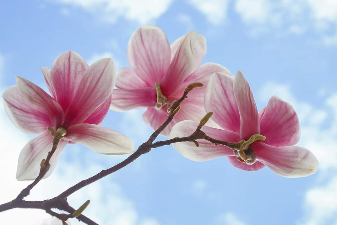 Farbe. Marina, Fotograf aus Nürnberg