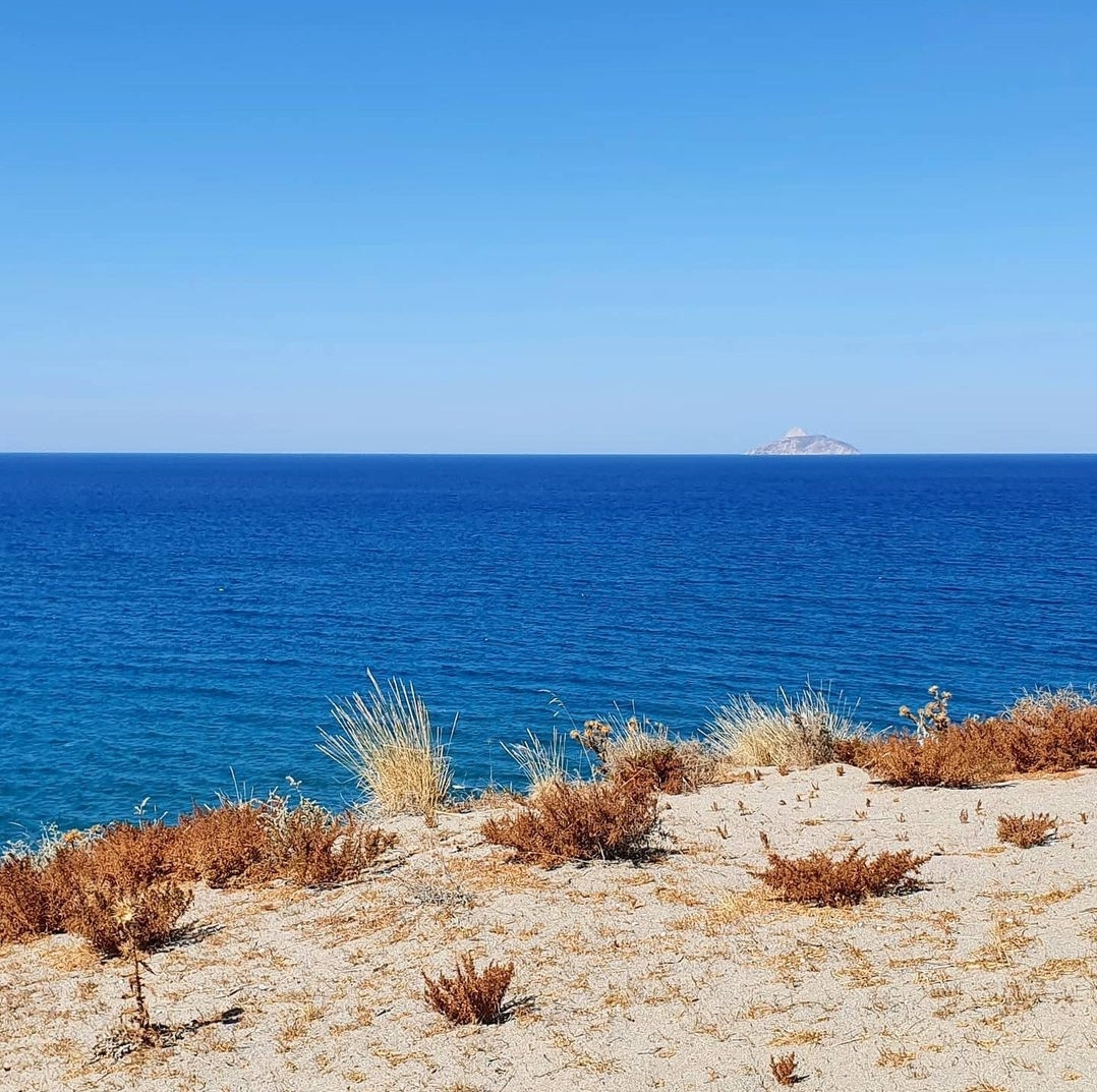 Natur und Stadt. Marina, Fotograf aus Nürnberg