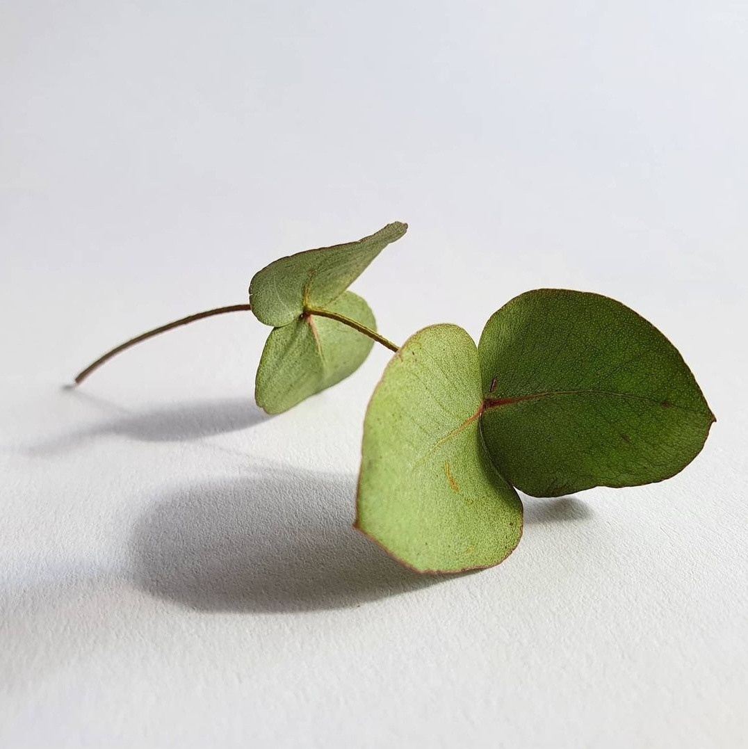 Farbe. Marina, Fotograf aus Nürnberg