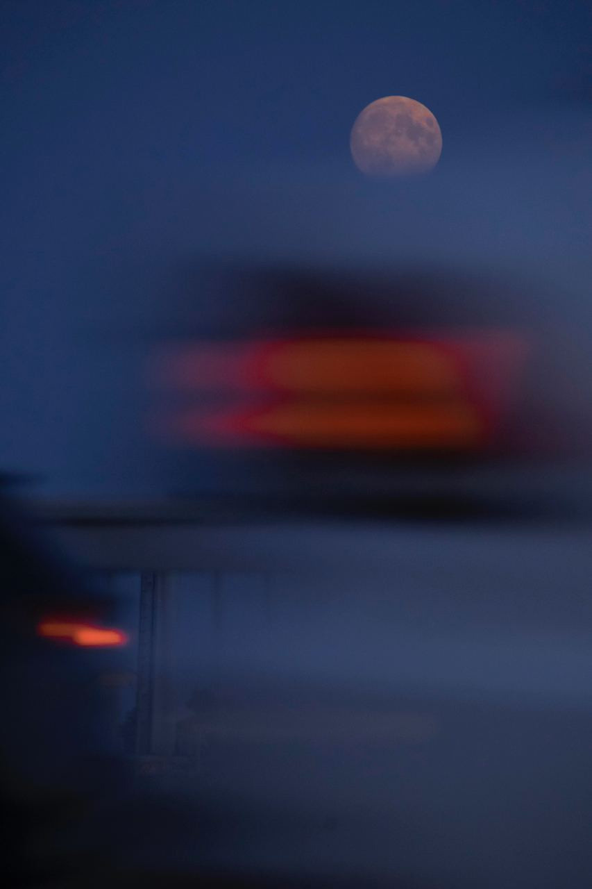 Natur und Stadt. Marina, Fotograf aus Nürnberg