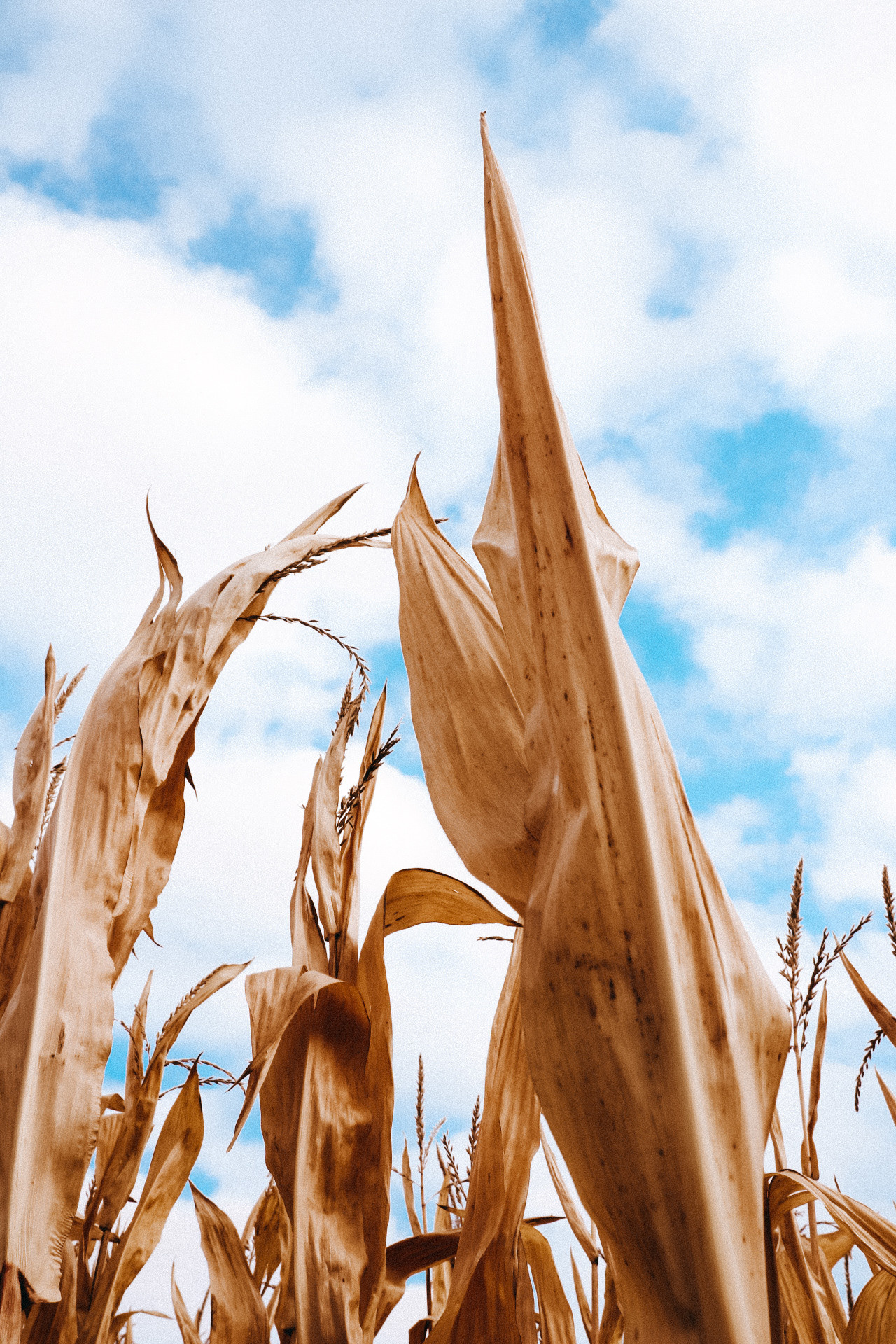 Natur und Stadt. Marina, Fotograf aus Nürnberg