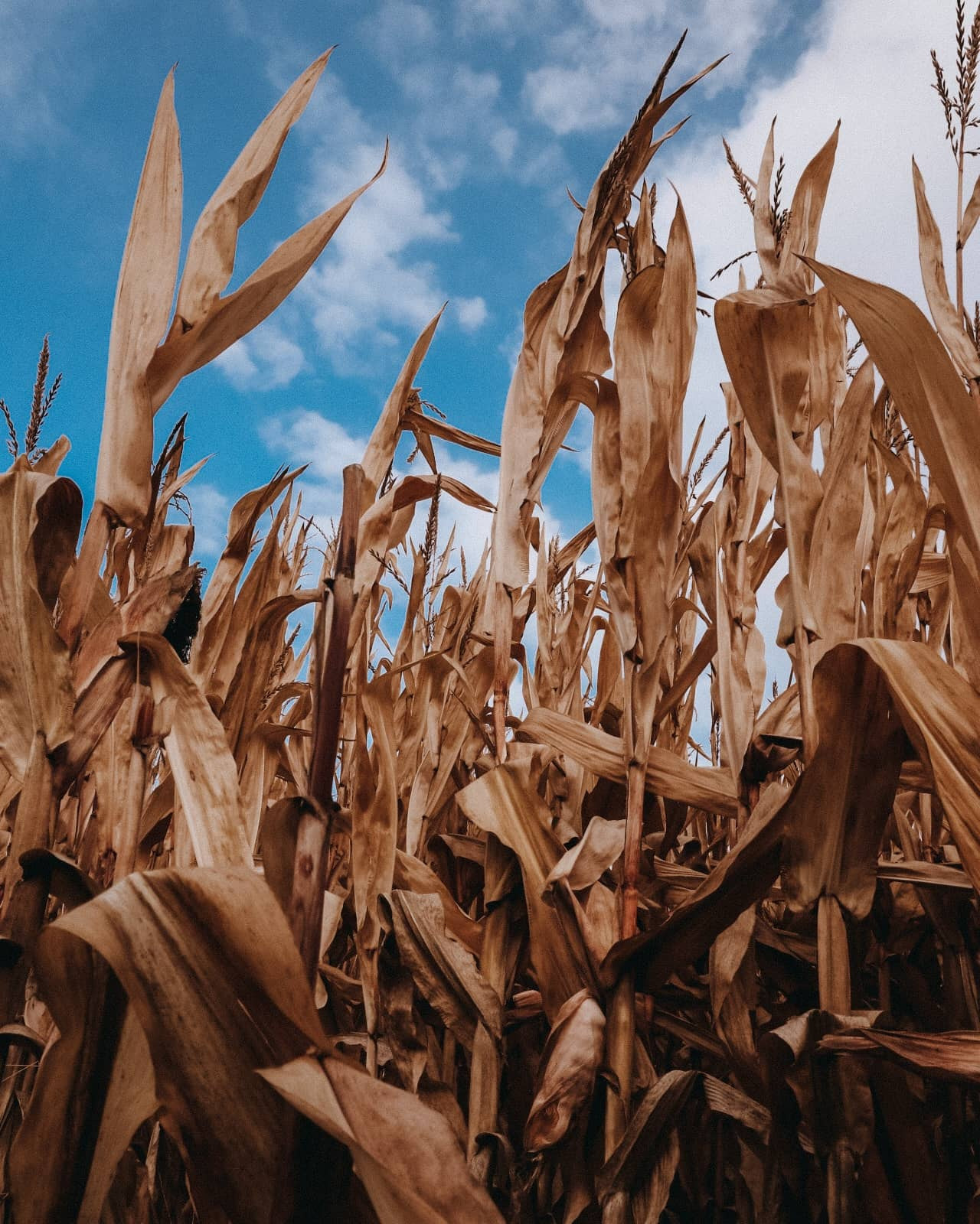 Natur und Stadt. Marina, Fotograf aus Nürnberg