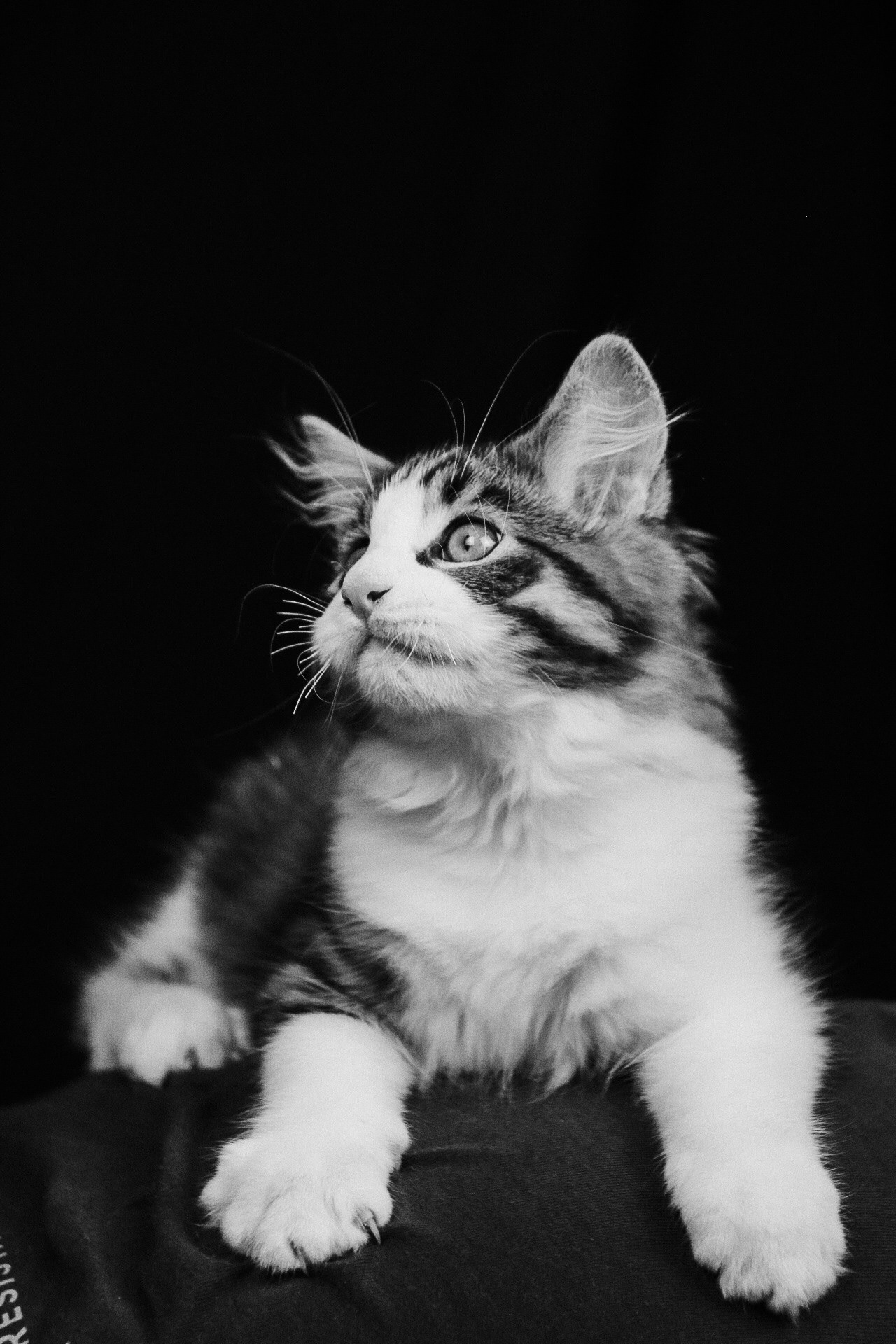 ЧБ. Марина фотограф из Нюрнберга