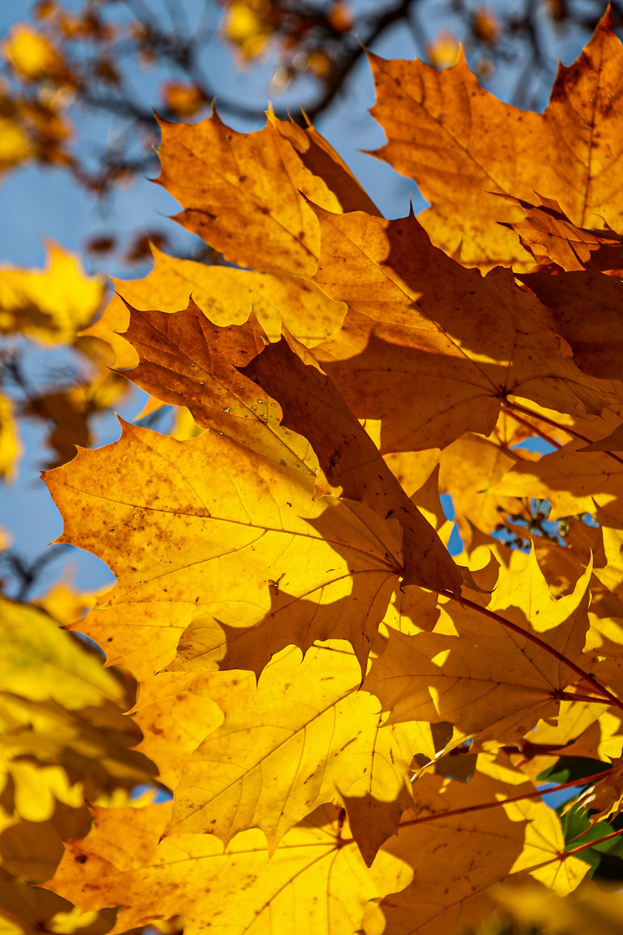 Natur und Stadt. Marina, Fotograf aus Nürnberg