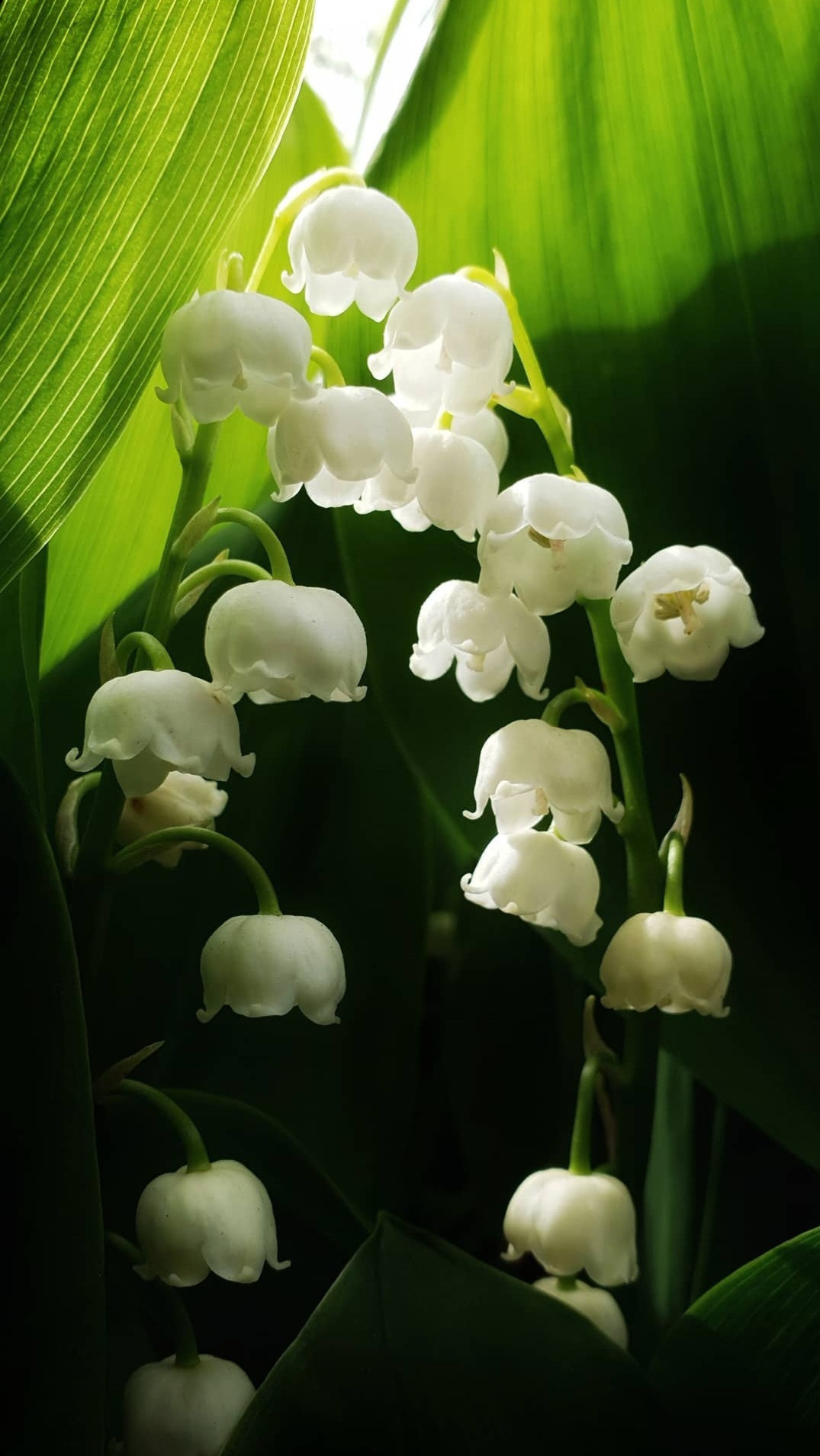 Natur und Stadt. Marina, Fotograf aus Nürnberg