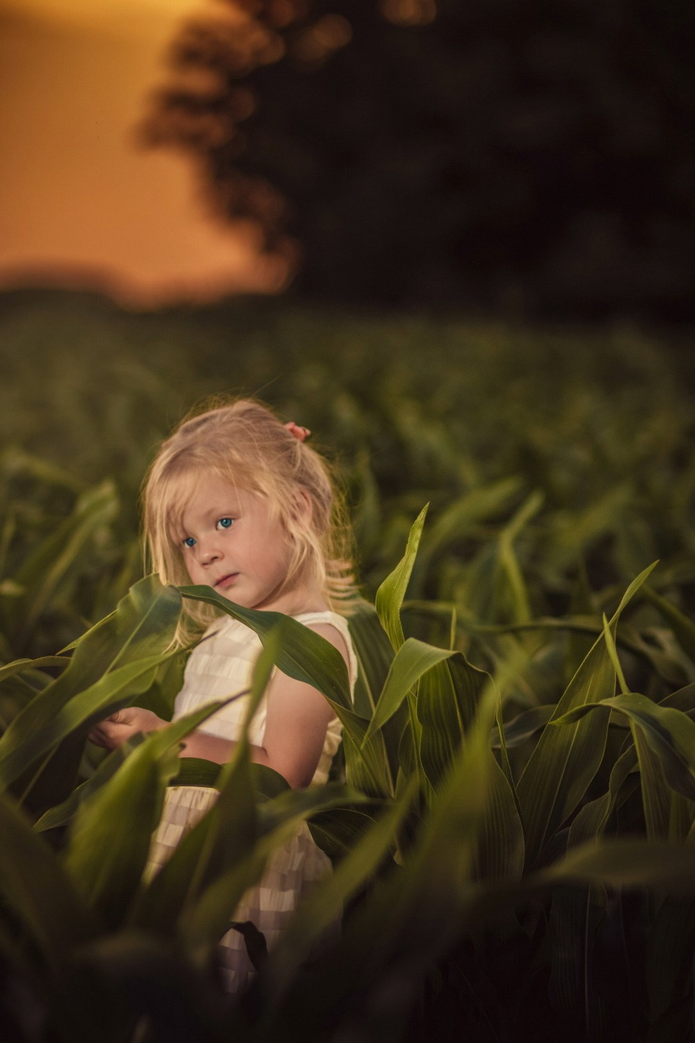 DEČIJA FOTOGRAFISANJA. Fotografi iz Backog Petrovca David i Andrea Stojanovic