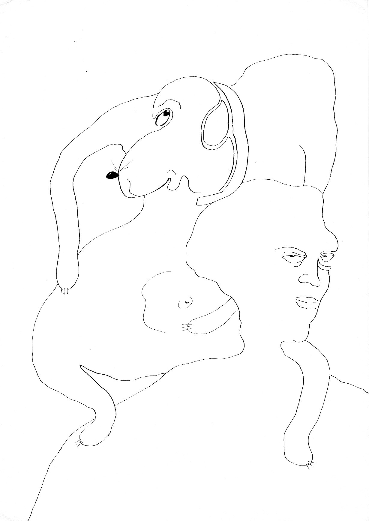 Рисунки. Британский фотограф Эльмира Watts (родом из Самары)