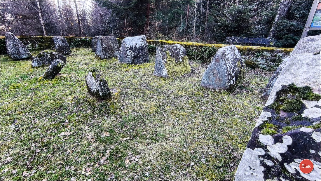 Une forêt, un rocher et un cimetière gallo-romain. Photographe à Strasbourg | Portraits, Studio, Enfants, Événements