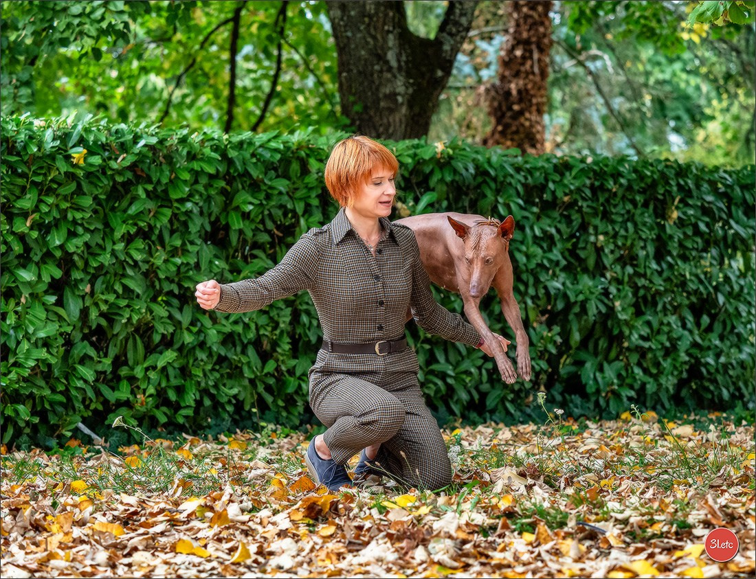 Expo canine 🇫🇷 Poitiers 18-19/10/2025. Photographe à Strasbourg | Portraits, Studio, Enfants, Événements