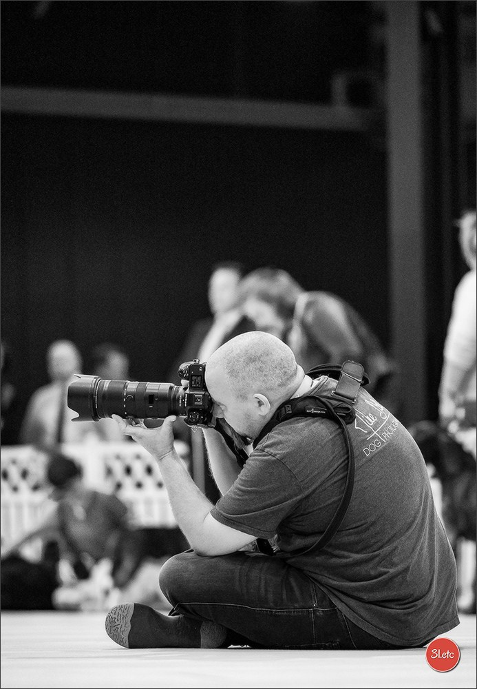 🇱🇺 LUXEMBOURG 🇱🇺 International Dog Show 🇱🇺 30/08 - 31/08/2025. Photographe à Strasbourg | Portraits, Studio, Enfants, Événements