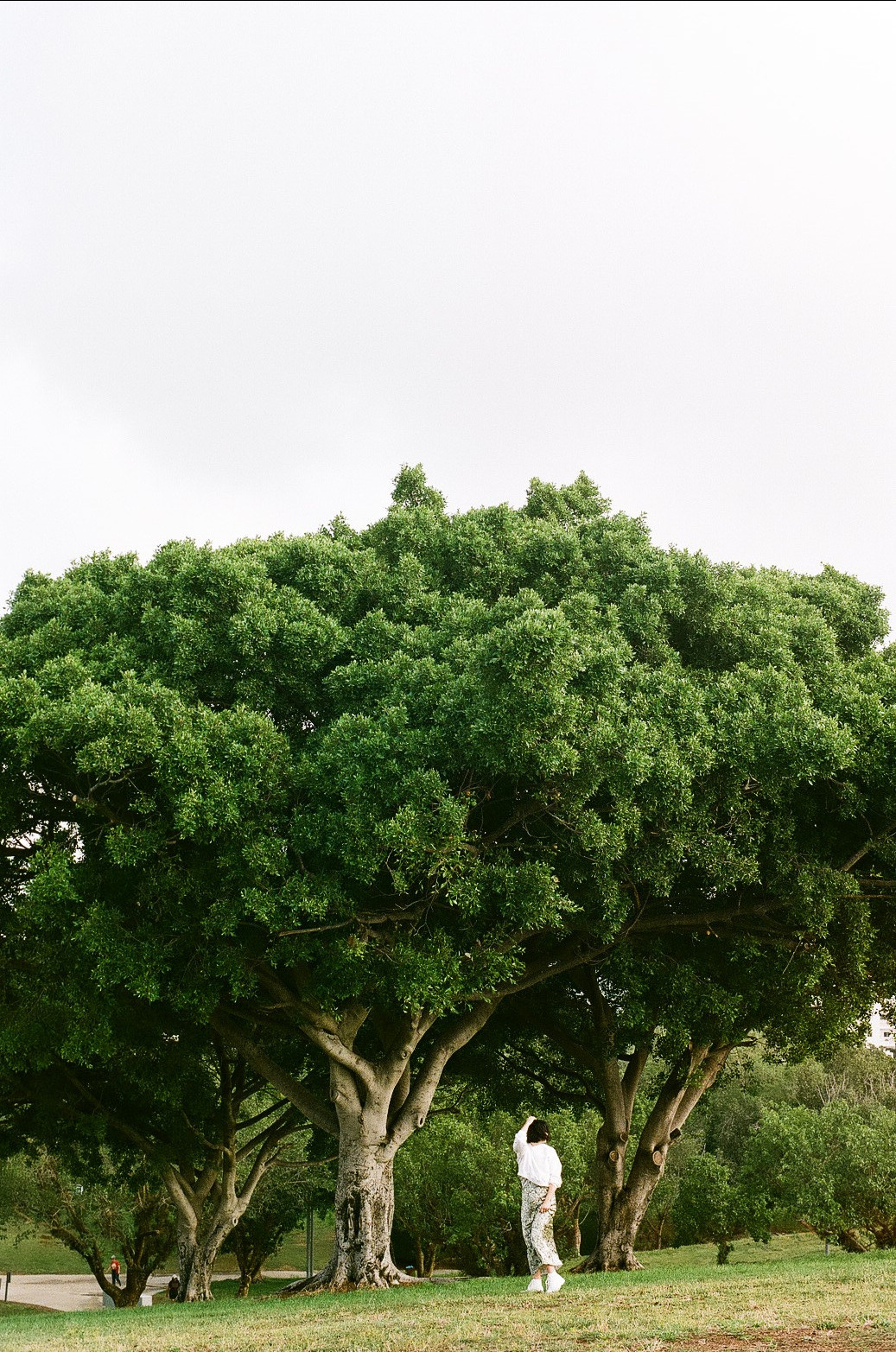 Анастасия. Film photographer