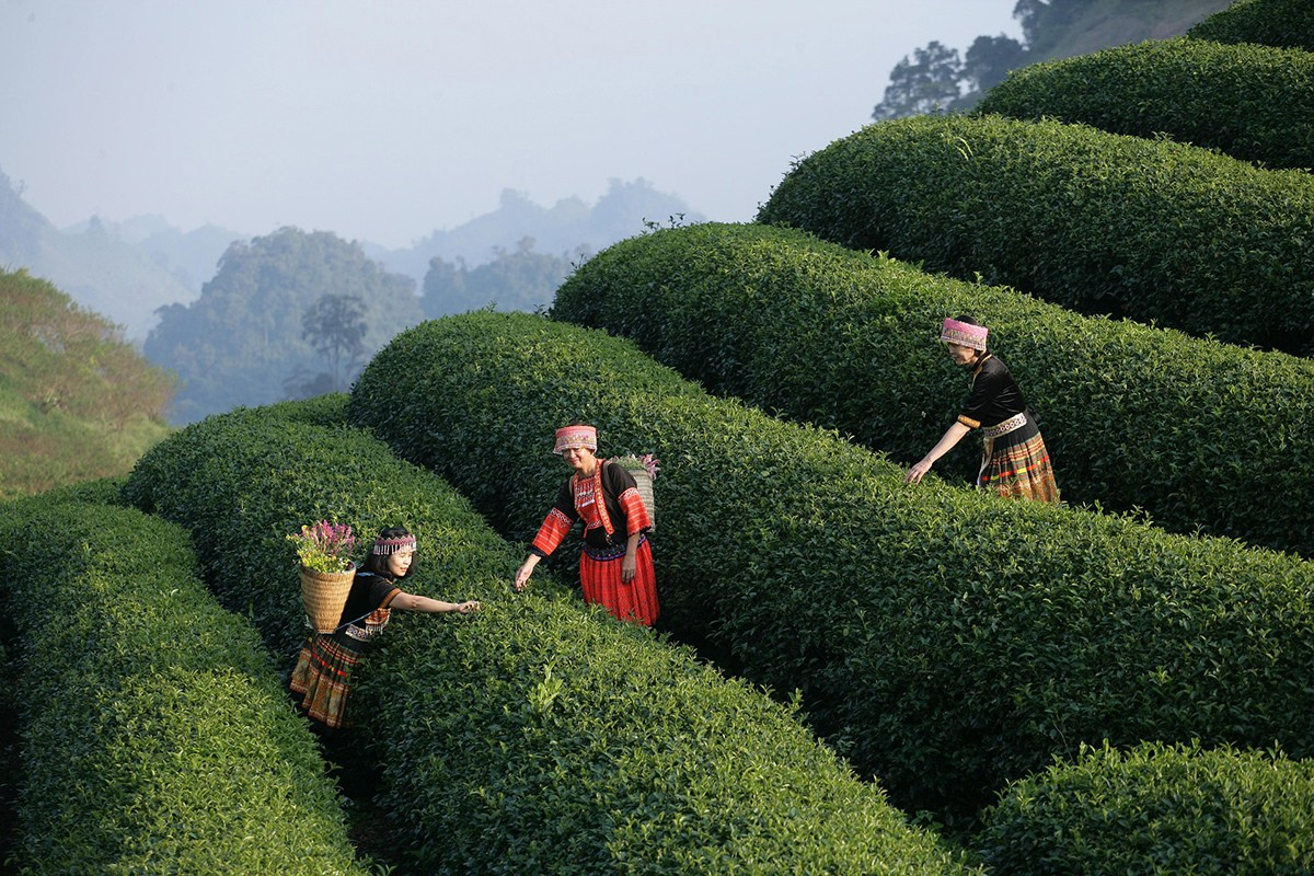 Вьетнам. Elina Reisen. Туристическое агентство в Аугсбурге