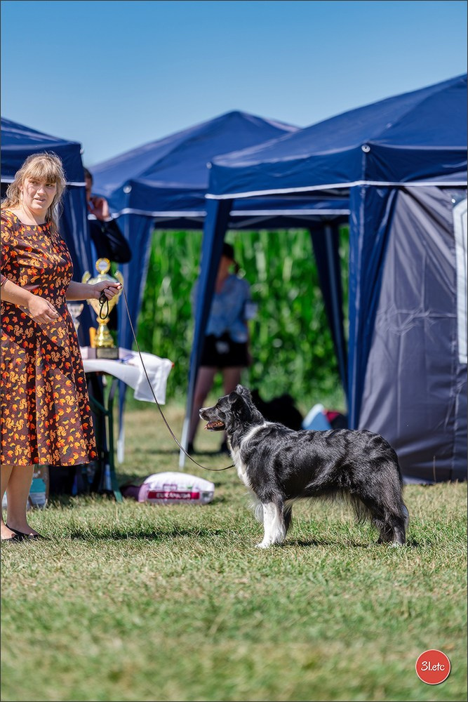 Dog Show - Hallbergmoos 🇩🇪 11-12/07/2026