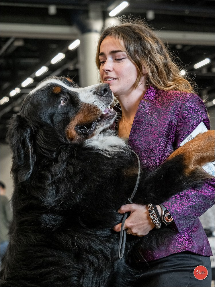 🇫🇮 WDS Helsinki 2025 🇫🇮. Photographe à Strasbourg | Portraits, Studio, Enfants, Événements