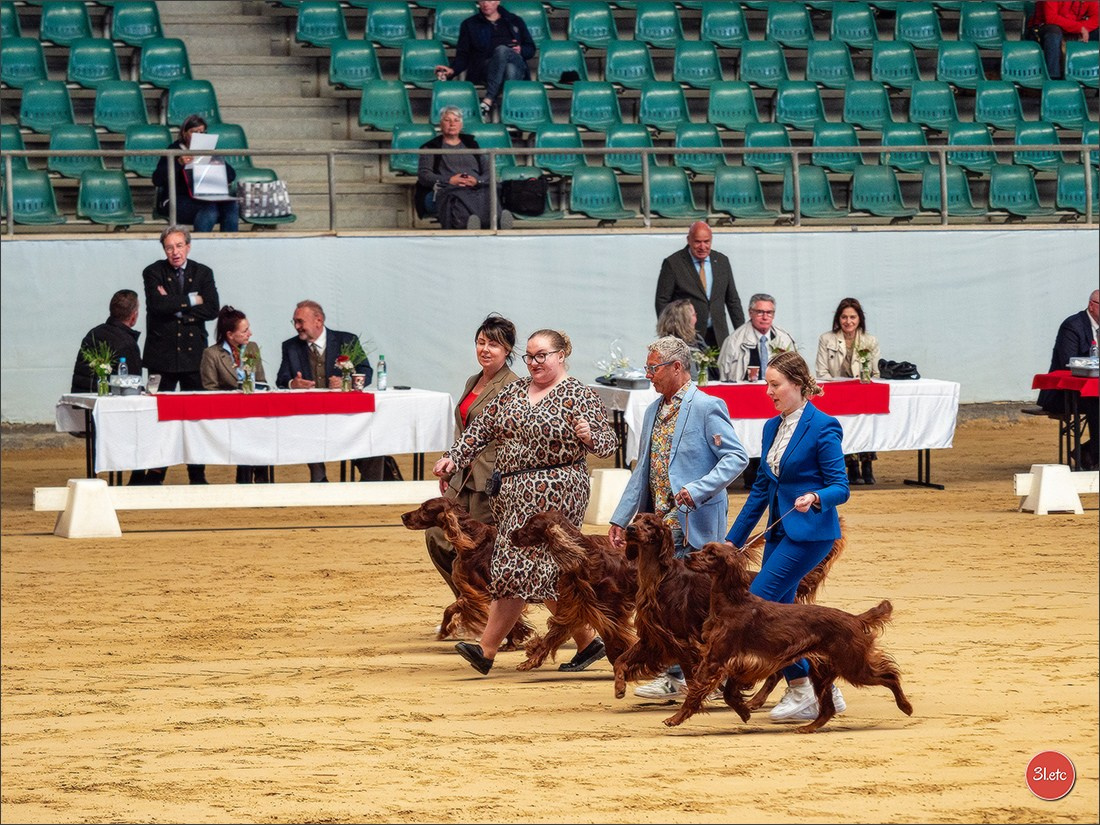 Dog Show Rieden 🇩🇪 16-18/05/2025. Photographe à Strasbourg | Portraits, Studio, Enfants, Événements
