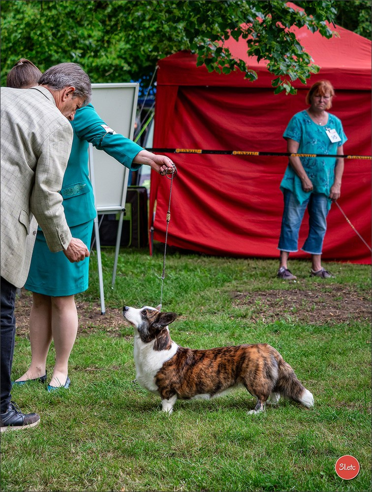 Украсть фото разве сложно.... Photographe à Strasbourg | Portraits, Studio, Enfants, Événements
