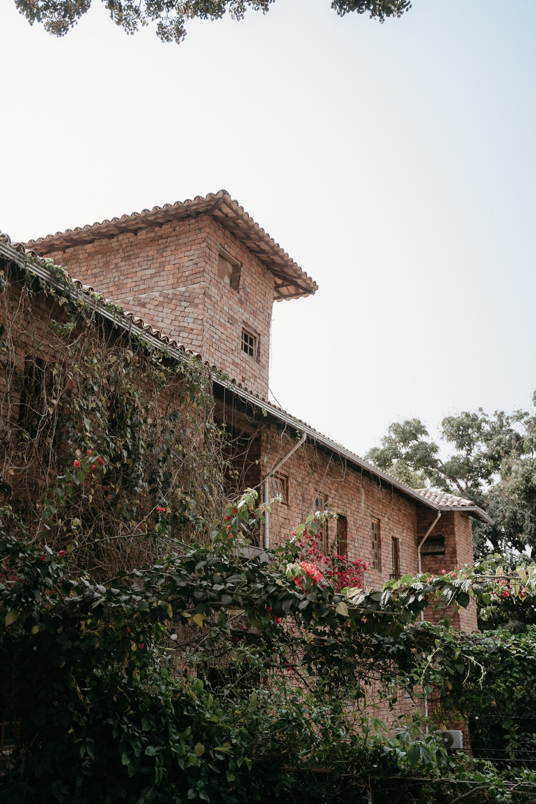 Debora e Andre. Edu e Josi Fotografia de Casamento em Belo Horizonte | Fotos Naturais