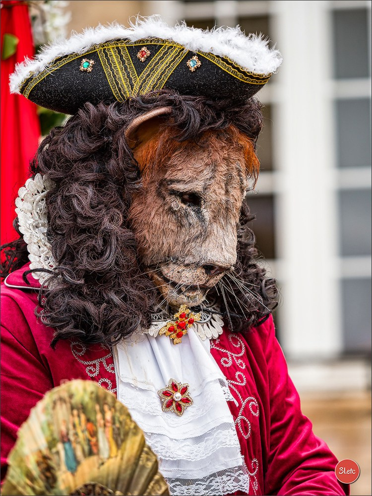 Carnaval venitien de Rosheim 2024. Photographe à Strasbourg | Portraits, Studio, Enfants, Événements