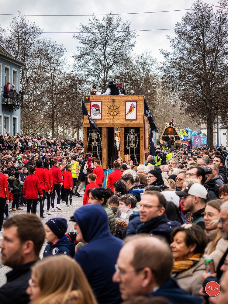 Concerts . Carnavals . Festivals. Photographe à Strasbourg | Portraits, Studio, Enfants, Événements