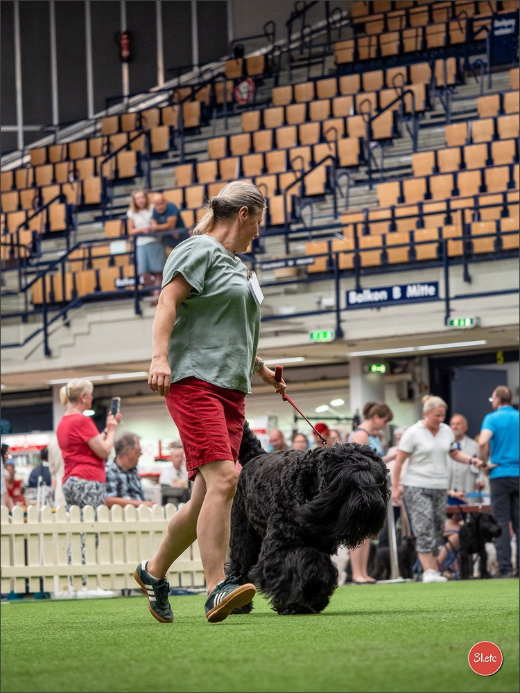 Dog Show Ludwigshafen  🇩🇪  16-17/08/2025. Photographe à Strasbourg | Portraits, Studio, Enfants, Événements