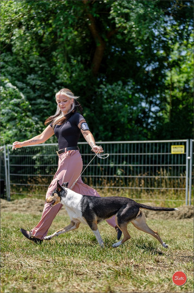 Dog Show - Hallbergmoos 🇩🇪 11-12/07/2026