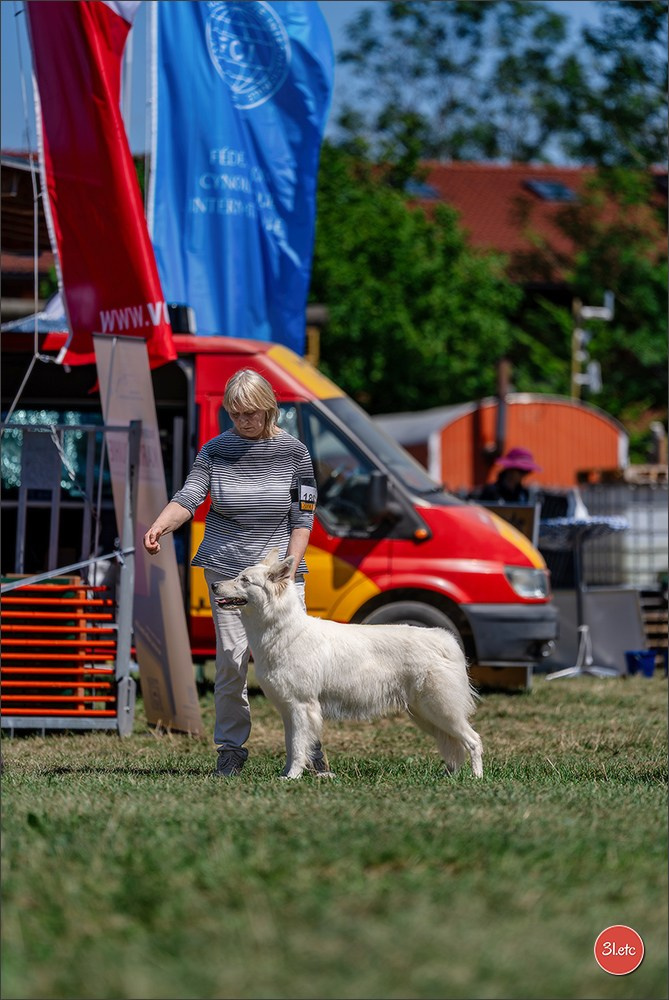 Dog Show - Hallbergmoos 🇩🇪 11-12/07/2026