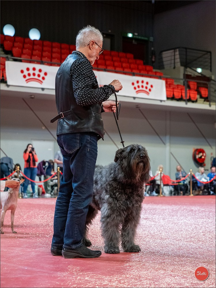Expo canine 🇫🇷 Martigues  19-20/04/2025. Photographe à Strasbourg | Portraits, Studio, Enfants, Événements