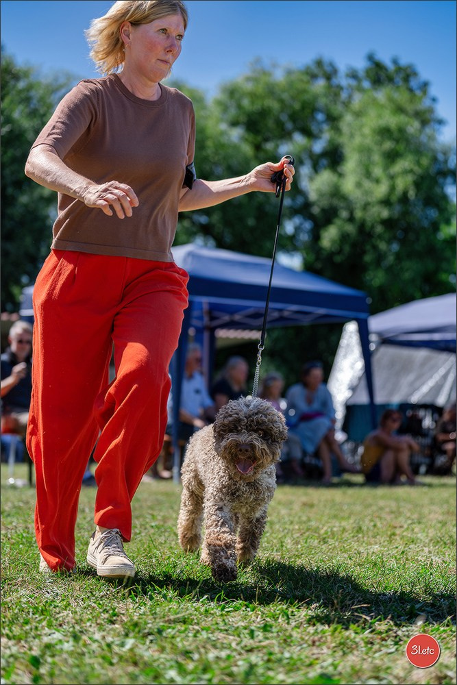 Dog Show - Hallbergmoos 🇩🇪 11-12/07/2026