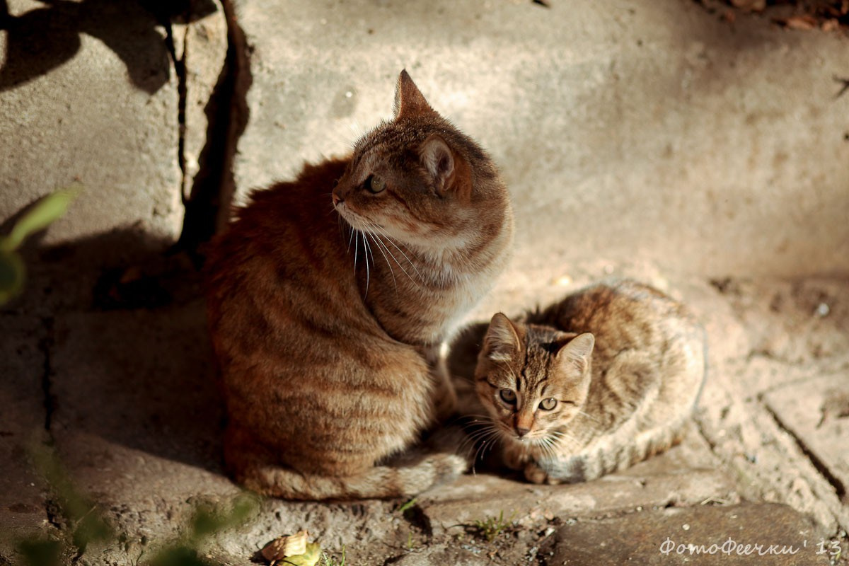Стамбул, Турция. Анна Леденева Фотограф