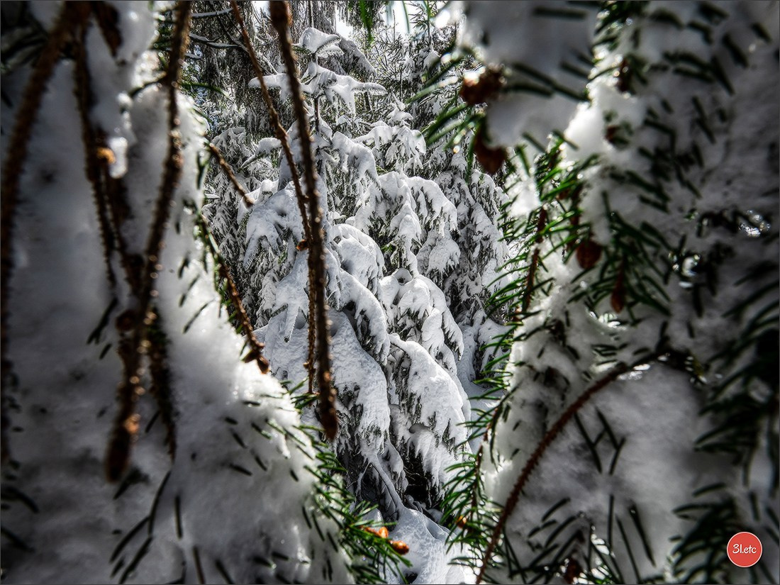 Temps étonnant fin avril en Alsace. Il a neigé. Photographe à Strasbourg | Portraits, Studio, Enfants, Événements