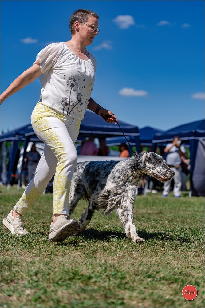 Dog Show - Hallbergmoos 🇩🇪 11-12/07/2026