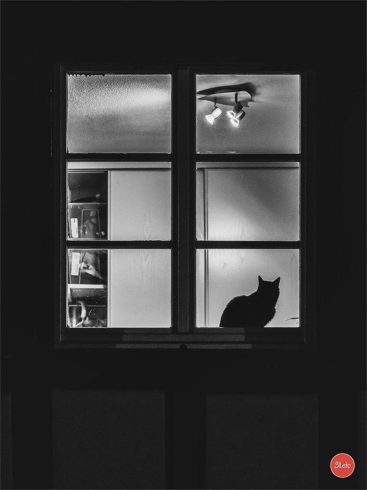 Night in Strasbourg. Photographe à Strasbourg | Portraits, Studio, Enfants, Événements