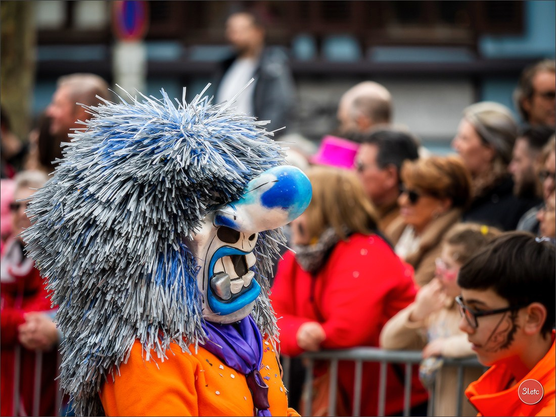 Traditional February carnival. Music, dancing, costume performances. C. Photographe à Strasbourg | Portraits, Studio, Enfants, Événements