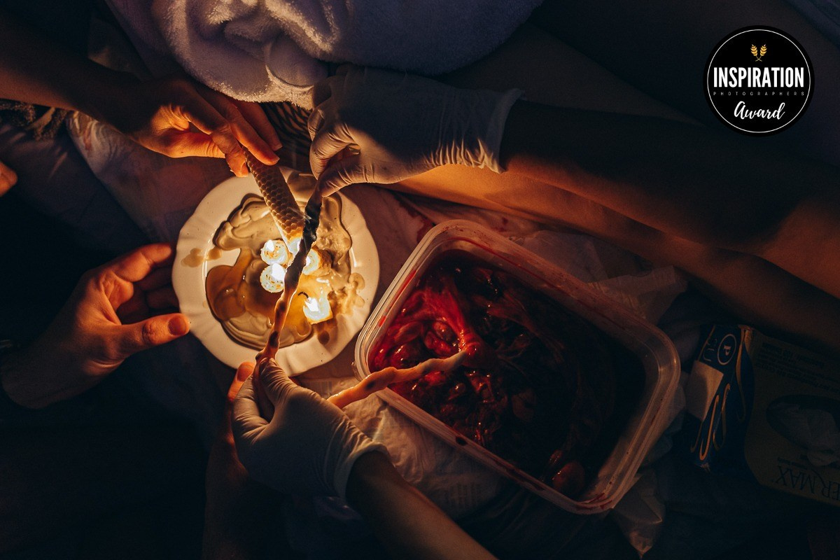 AWARDS. Fotografa de família e crianças em Florianópolis SC Daria Ermolaev