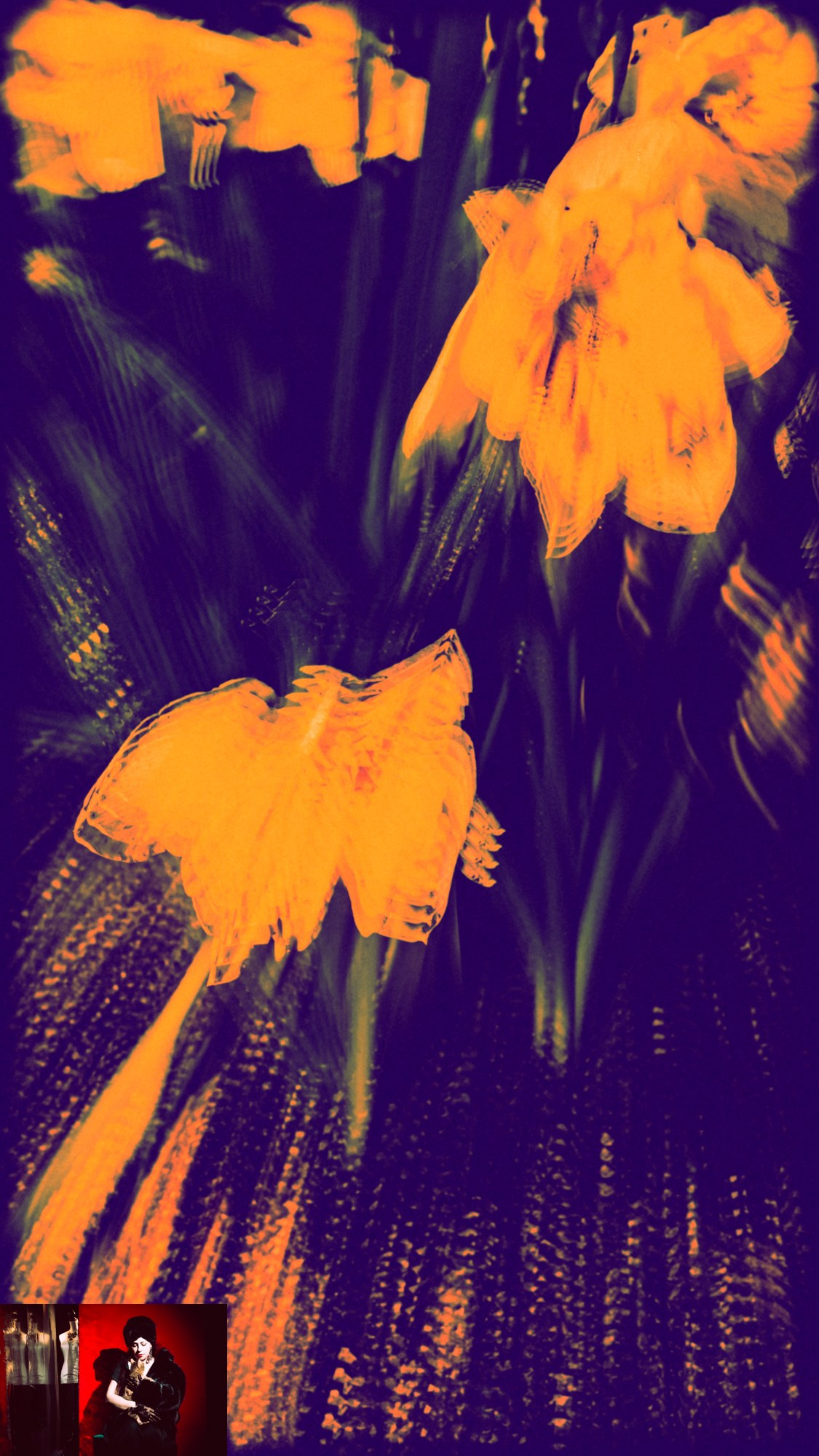 Portraits of Park Residents. Ekaterina Tsurkina-Appina Photography Canada