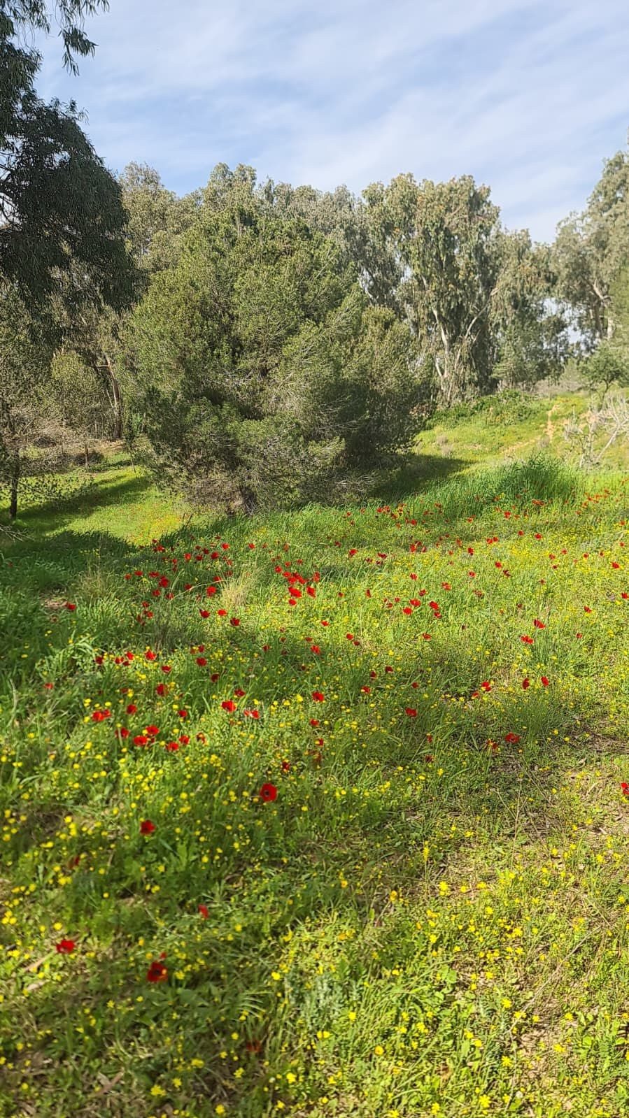 Поход 2026. КРиС «Нортман»