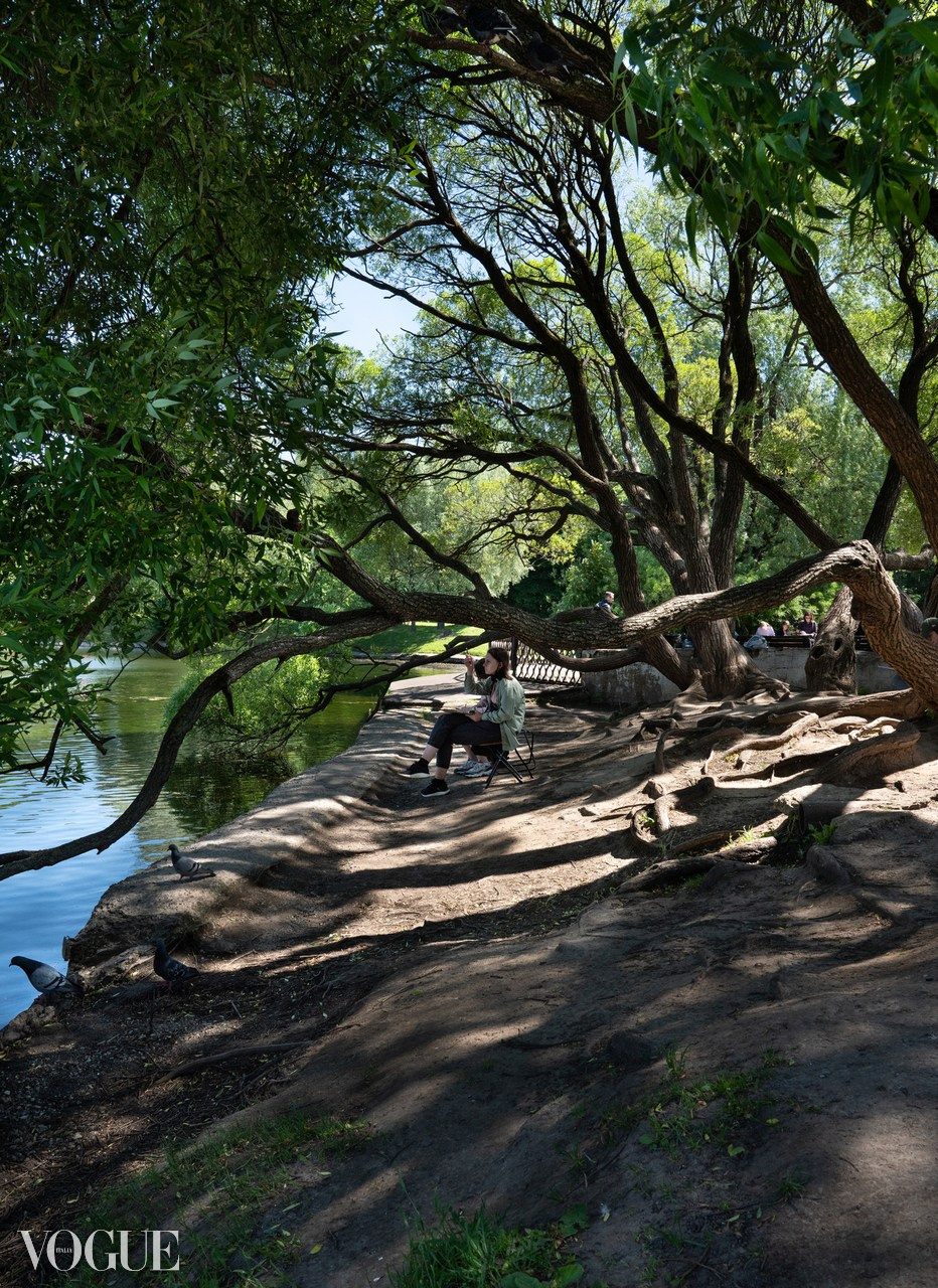 Красота садов и парков. Суть фотографии в стиле изобразительного искусства