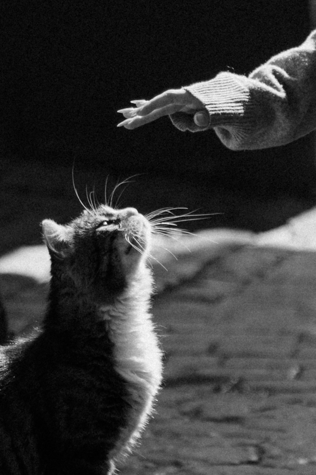 Стамбул. Фотопрогулки в Стамбуле