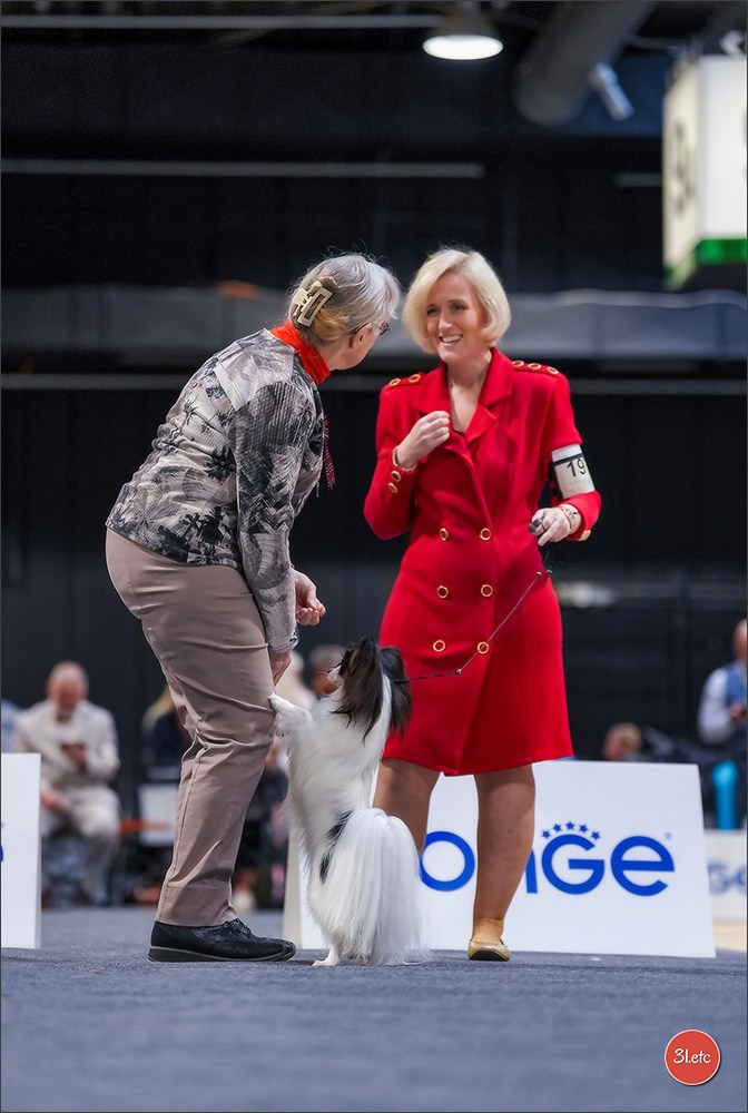 🇱🇺 LUXEMBOURG 🇱🇺 International Dog Show 4-5/04/2026. Photographe à Strasbourg | Portraits, Studio, Enfants, Événements