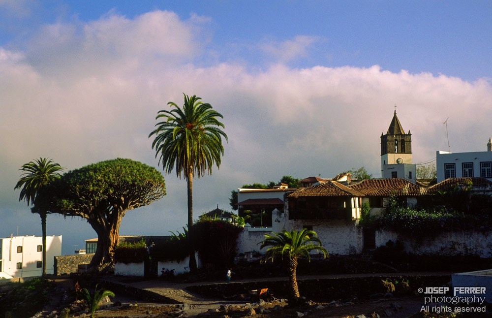 Icod de los vinos villege, Tenerife, Canary islands