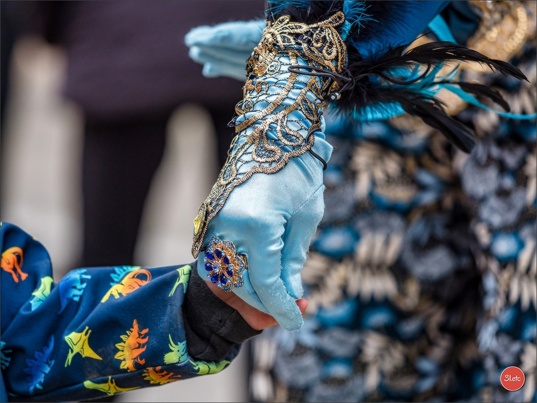 Carnaval venitien de Rosheim 2024. Photographe à Strasbourg | Portraits, Studio, Enfants, Événements