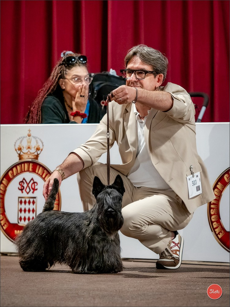 Expo canine 🇲🇨  Monaco 10-11/05/2025. Photographe à Strasbourg | Portraits, Studio, Enfants, Événements