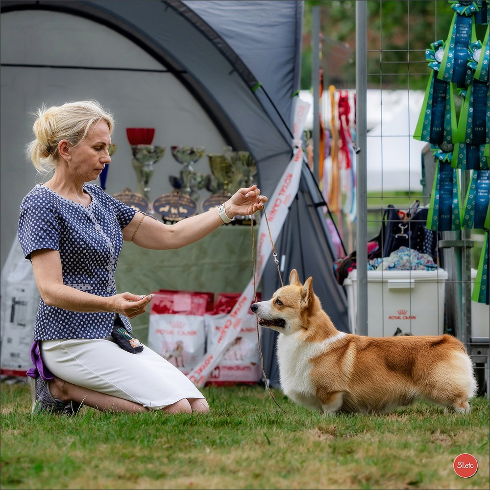 🇫🇷 Romorantin - Exposition Canine Nationale. Photographe à Strasbourg | Portraits, Studio, Enfants, Événements